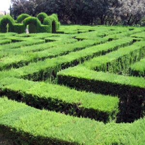 Laberinto en los jardines de Horta