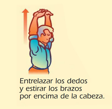 flexibilidad 1