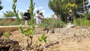 Foto: Red Andaluza de Jardines Botánicos y Micológicos en Espacios Naturales (RAJBEN).