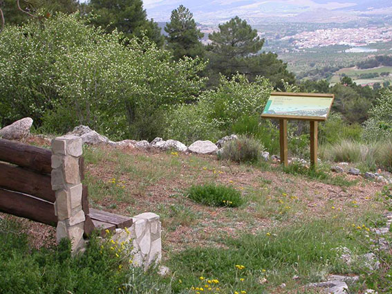 Red Andaluza de Jardines Botánicos y Micológicos en Espacios Naturales (RAJBEN).