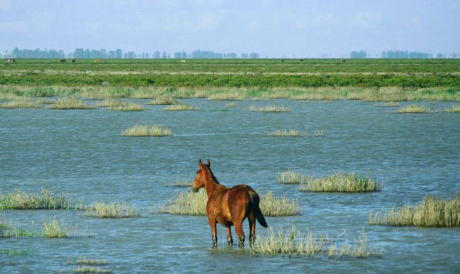 mayores_udp_doñana