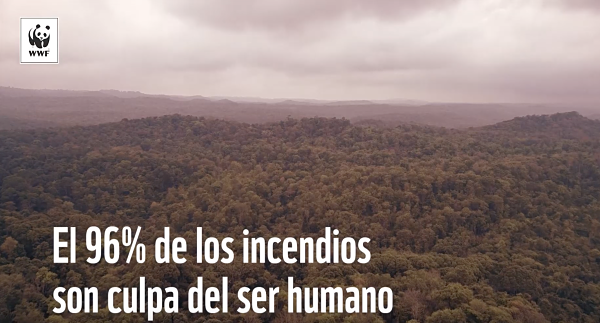 informe incendios forestales wwf 2019_opt