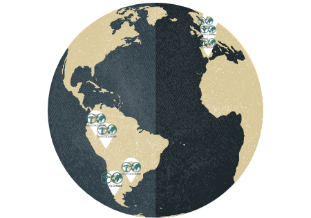 mapa del mundo con los páises dónde UDP tiene presencia